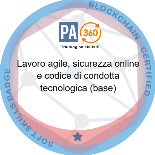 Badge pubblico 68011